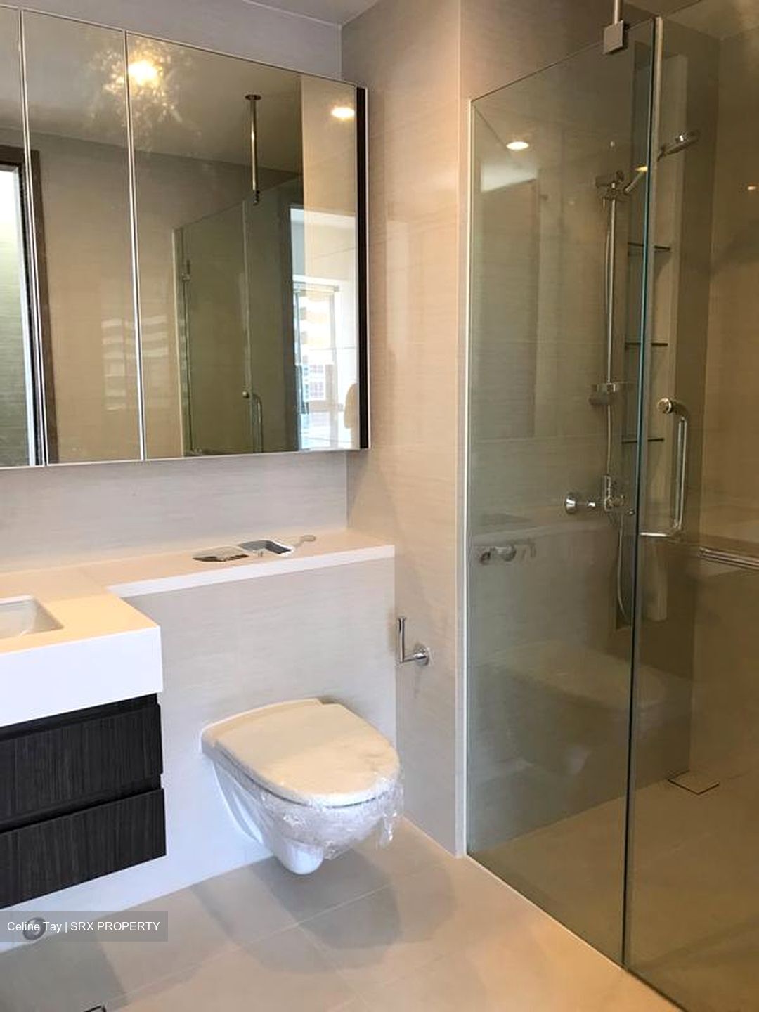 The Palette (D18), Condominium #532075781